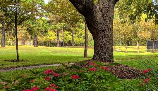 Live Oak, TX