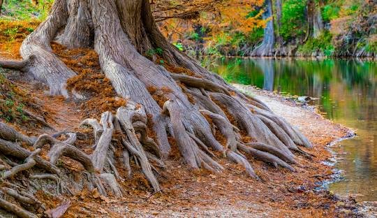 Boerne, TX